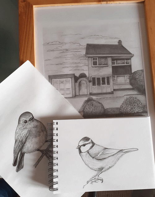 pencil drawings house+birds